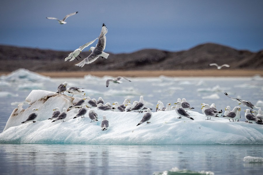 OTL09-22, 14July Breen_WKR59151_WernerKruse © Werner Kruse - Oceanwide Expeditions.jpg