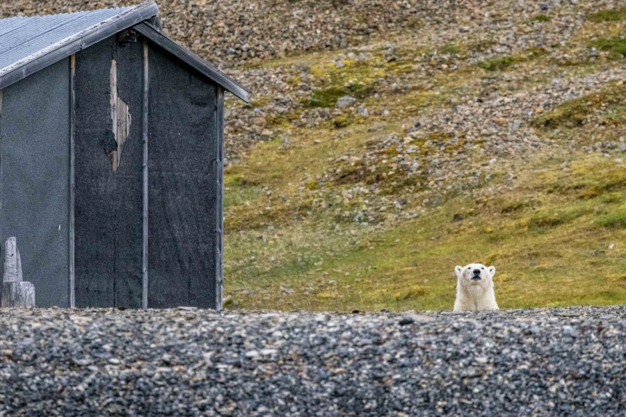 Skahnsbukta & Billefjorden