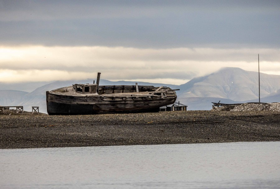 OTL09-22, Skansbukta_WKR59985_WernerKruse © Werner Kruse - Oceanwide Expeditions.jpg