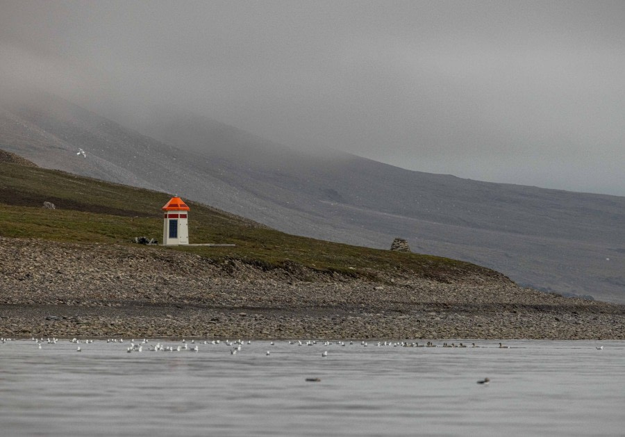 OTL09-22, Skansbukta_WKR59993_WernerKruse © Werner Kruse - Oceanwide Expeditions.jpg