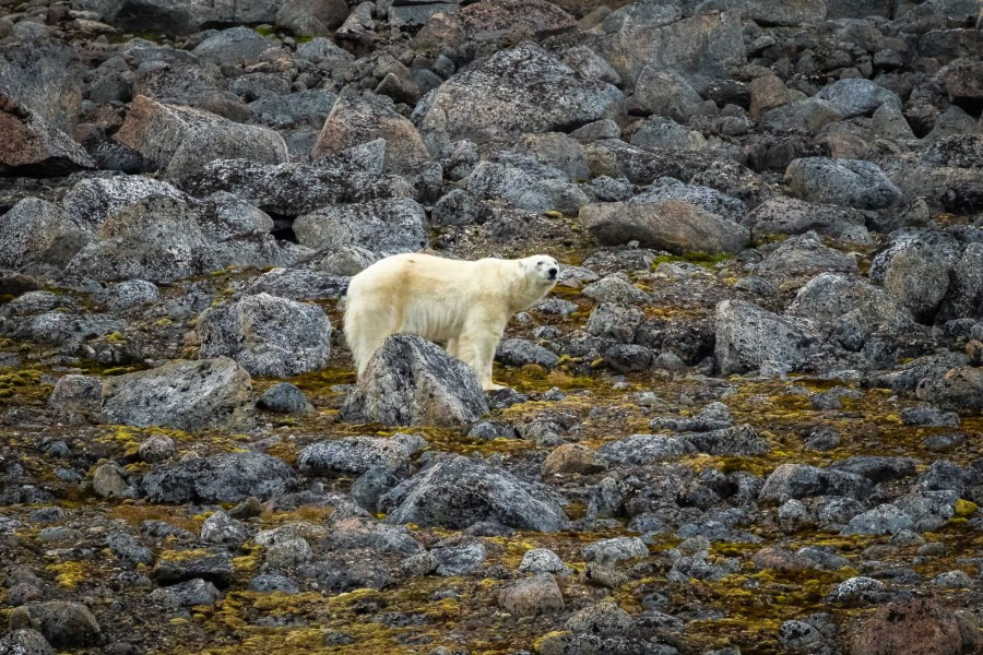 OTL10-22, Day 4, Phippsoya_WKR50317_WernerKruse © Werner Kruse - Oceanwide Expeditions.jpg