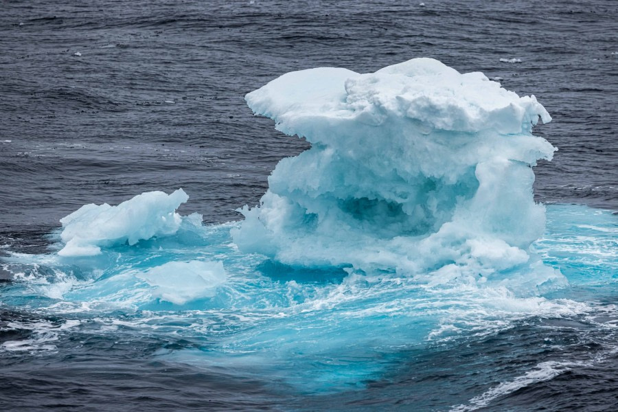 OTL10-22, Day 5, Pack Ice_WKR50509_WernerKruse © Werner Kruse - Oceanwide Expeditions.jpg