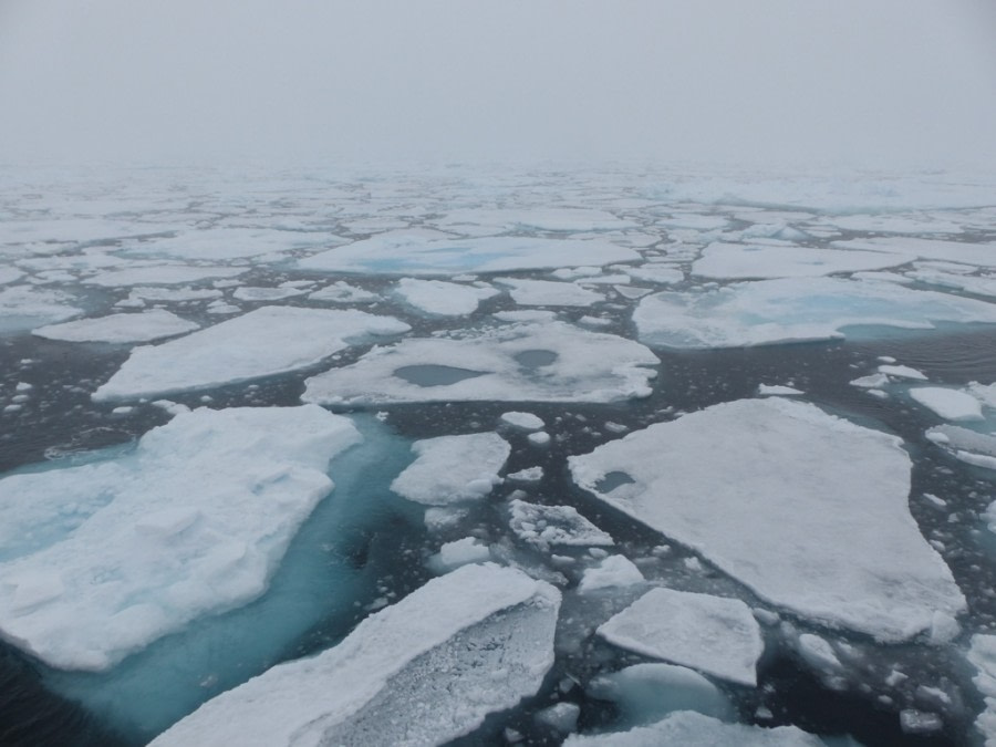 HDS10X22, Day 3, Pack Ice 2 © Unknown photographer - Oceanwide Expeditions.JPG