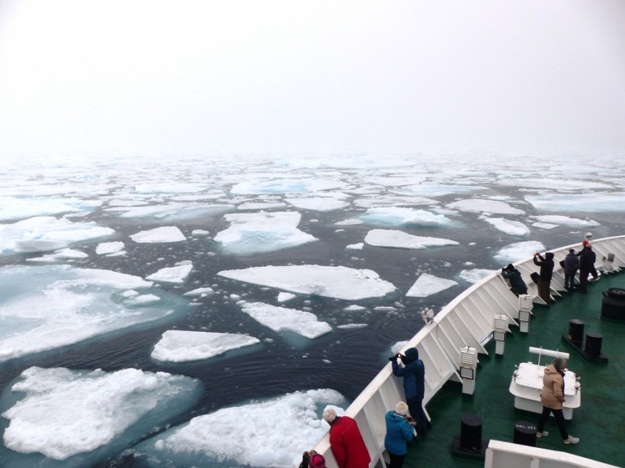 HDS10X22, Day 3, Pack Ice © Unknown photographer - Oceanwide Expeditions.JPG