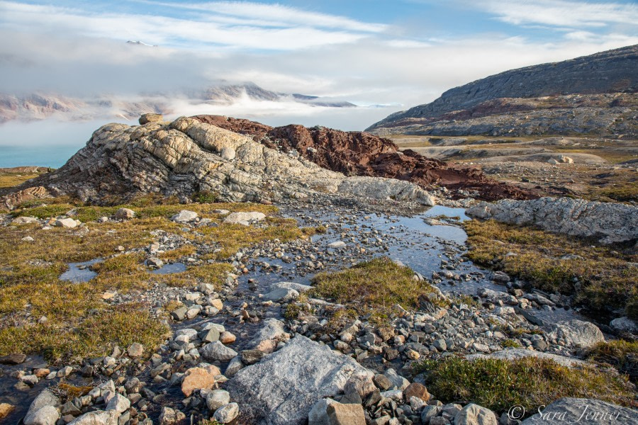 HDS10X22, Day 7, Segelsallskaets 6 © Sara Jenner - Oceanwide Expeditions.jpg