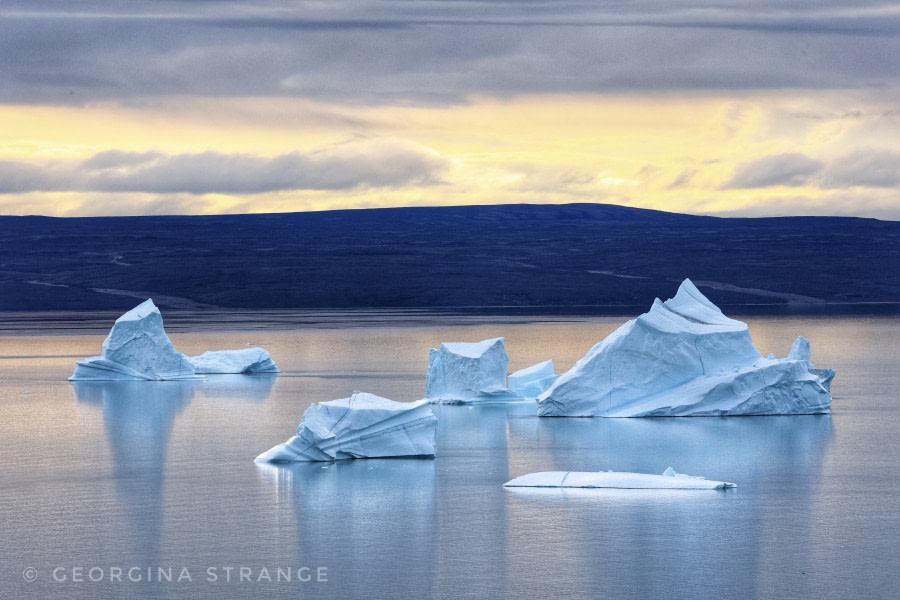 HDS10X22, Day 10, 5A8A6627-01 © Georgina Strange - Oceanwide Expeditions.jpeg