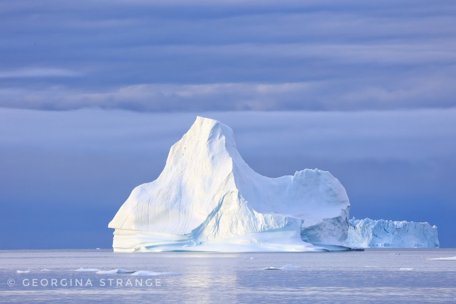 HDS10X22, Day 10, 5A8A6518-DeNoiseAI-clear-01 © Georgina Strange - Oceanwide Expeditions.jpeg