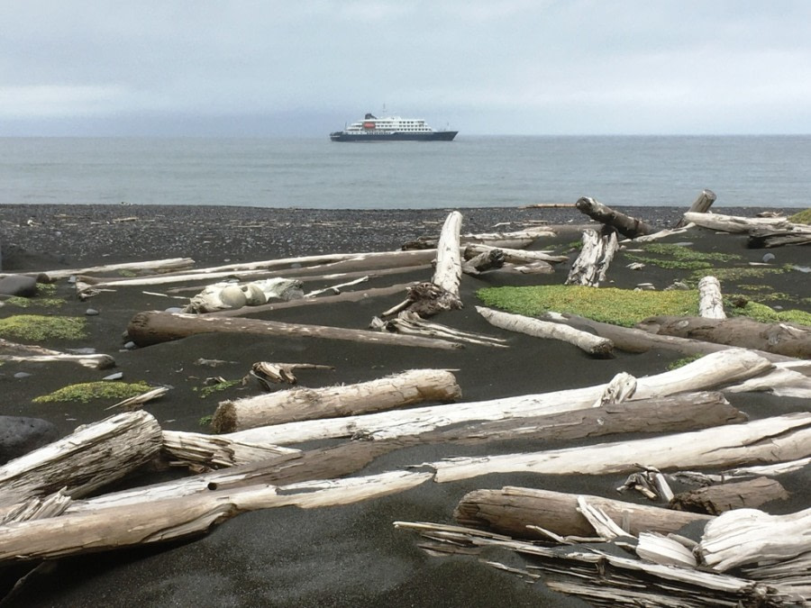 HDS10X22, Day 12, Jan Mayen driftwood © Unknown photographer - Oceanwide Expeditions.JPG