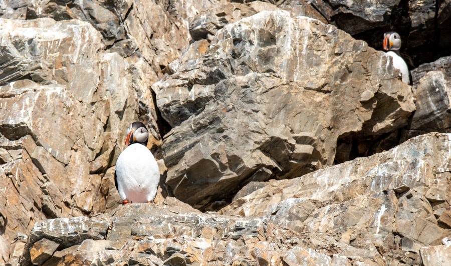 HDS10X22, Day 2, 14thJuly © Laura Mony - Oceanwide Expeditions.jpg