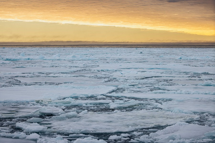 OTL11-22, Day 5, Pack Ice_WKR51489 © Werner Kruse - Oceanwide Expeditions.jpg