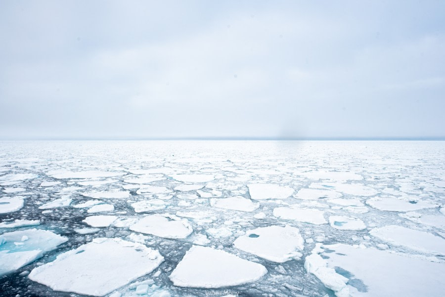 HDS11X22, Day 5, SeaIce © Laura Mony - Oceanwide Expeditions.jpg