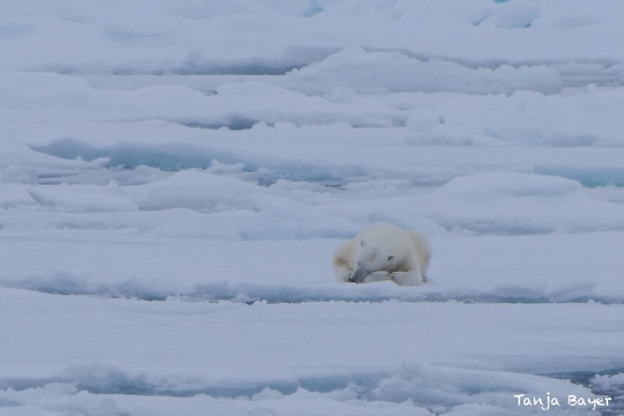 PLA11-22, Day 3, P1138140 © Tanja Bayer - Oceanwide Expeditions.jpeg