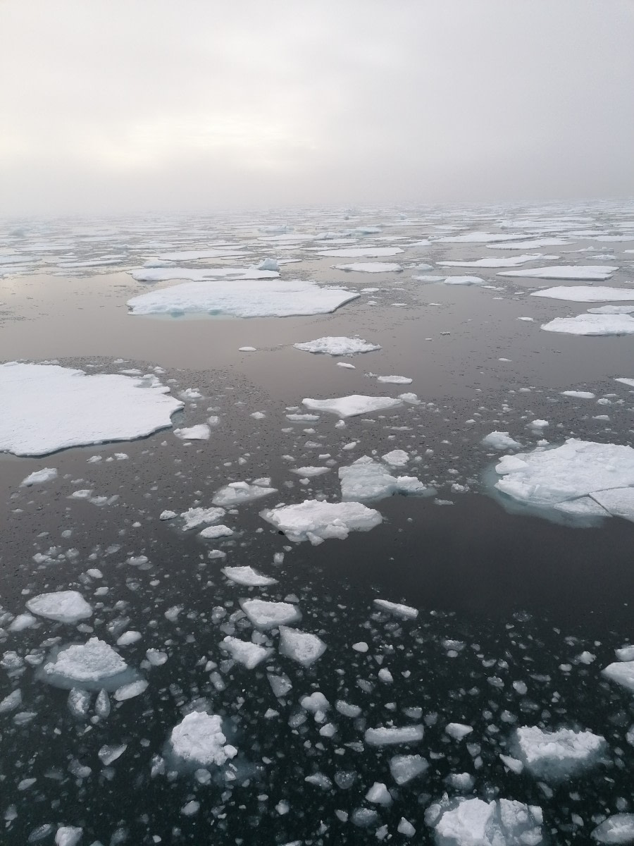 OTL13-22, Day 3, day 3_in the ice_02 © Unknown Photographer - Oceanwide Expeditions.jpg