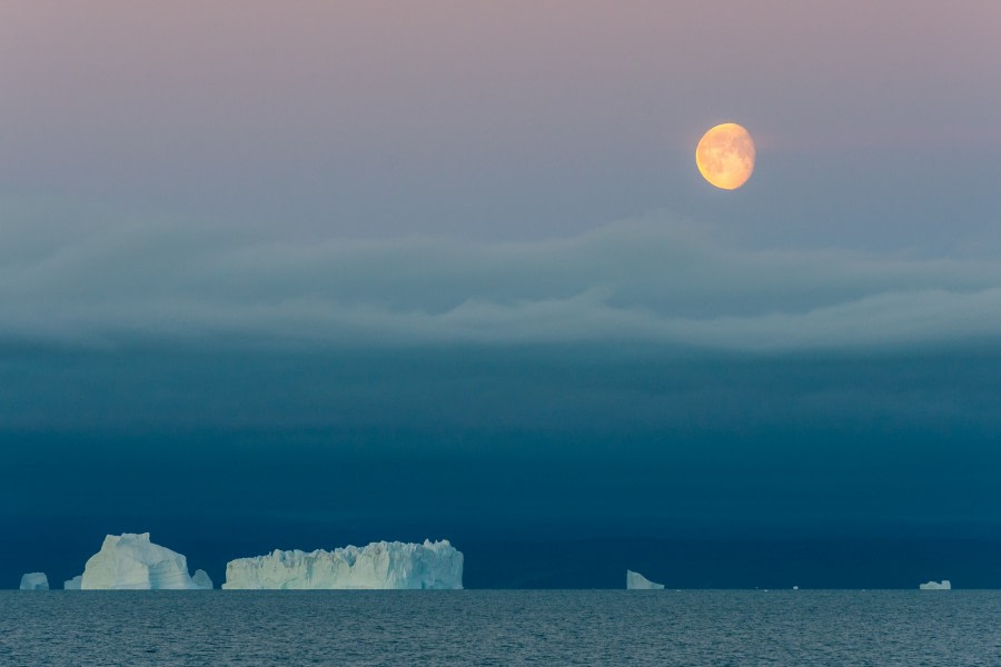 OTL14-22, Day 5, 20220913_Katja Riedel_DSC_4113 © Katja Riedel - Oceanwide Expeditions.jpg