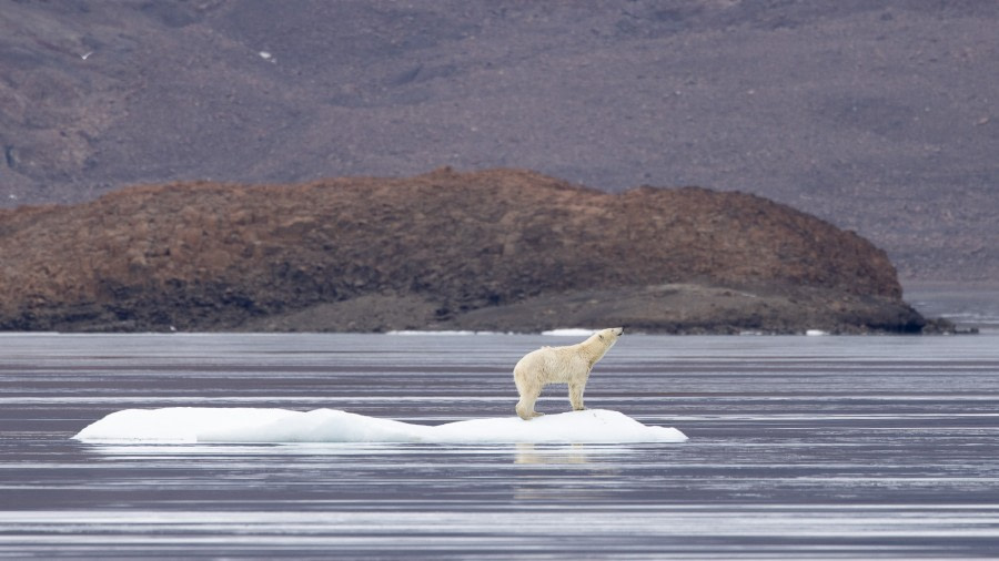 HDS14-22, 20220918_Arjen_Drost_0051 © Arjen Drost, Natureview - Oceanwide Expeditions.jpg