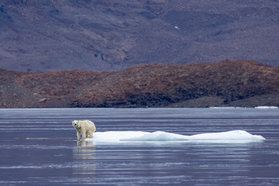 HDS14-22, 20220918_Arjen_Drost_0122 © Arjen Drost, Natureview - Oceanwide Expeditions.jpg