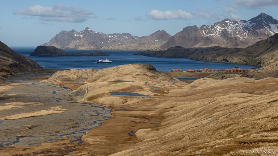 OTL21-22, Day 8, Stromness 2 © Sara Jenner - Oceanwide Expeditions.jpg