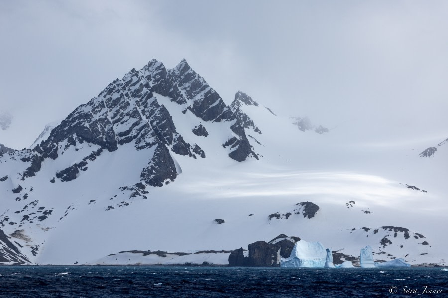 OTL21-22, Day 14, Elephant Island 3 © Sara Jenner - Oceanwide Expeditions.jpg