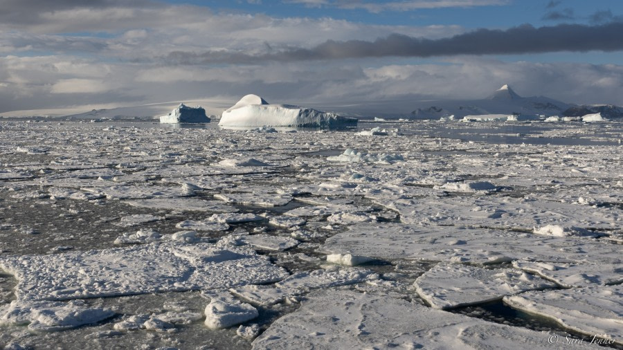 OTL21-22, Day 16, Antarctic Sound 6 © Sara Jenner - Oceanwide Expeditions.jpg