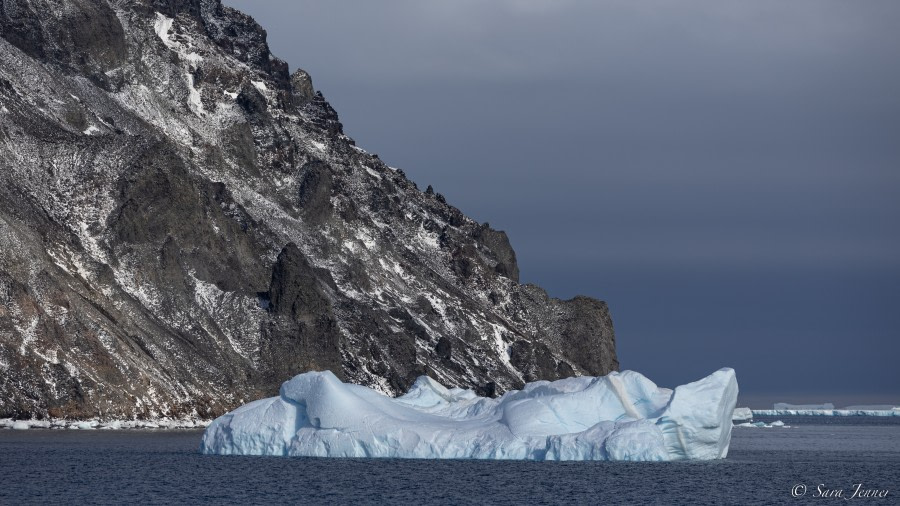 OTL21-22, Day 16, Paulet Island (2) © Sara Jenner - Oceanwide Expeditions.jpg