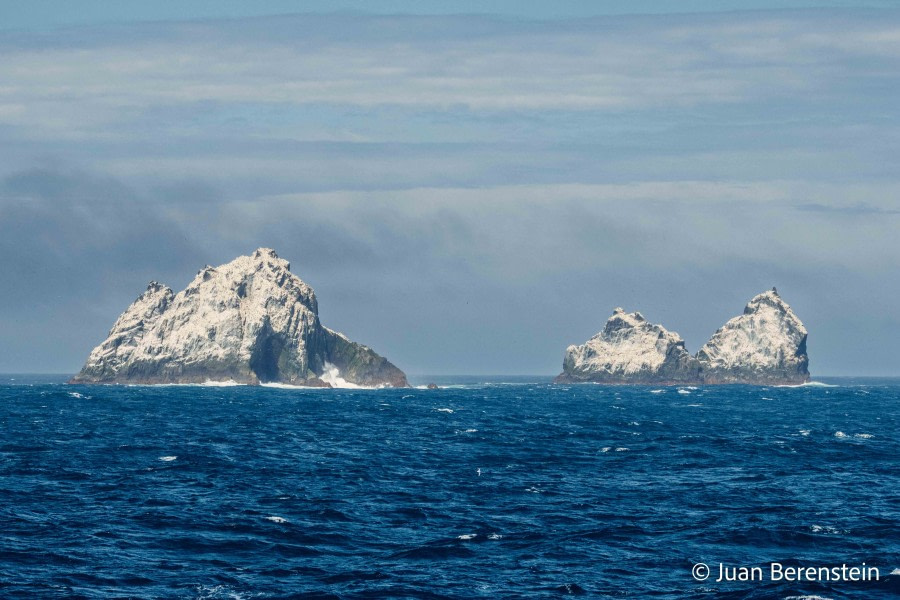 HDS21-22, Day 7, 2B5A0158 © Juan Berenstein - Oceanwide Expeditions.jpg