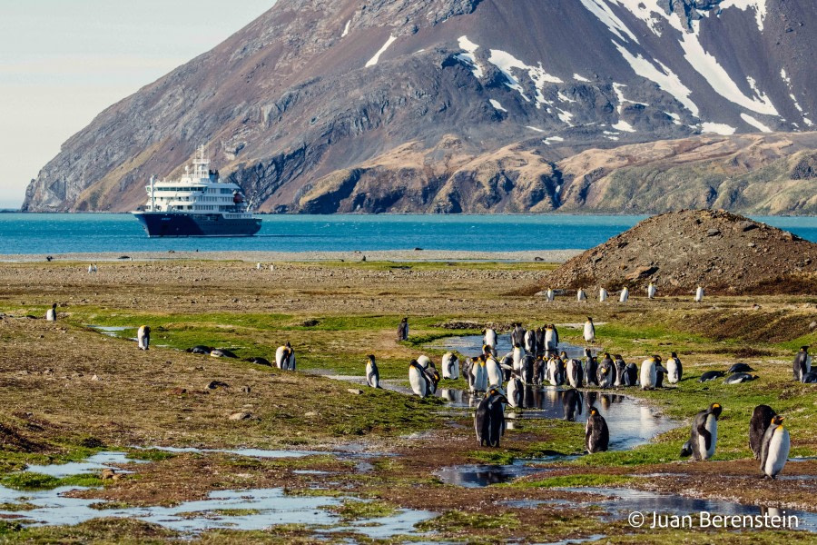 HDS21-22, Day 8, 2B5A0618 © Juan Berenstein - Oceanwide Expeditions.jpg