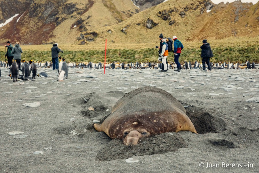 HDS21-22, Day 9, _Q9A8293 © Juan Berenstein - Oceanwide Expeditions.jpg