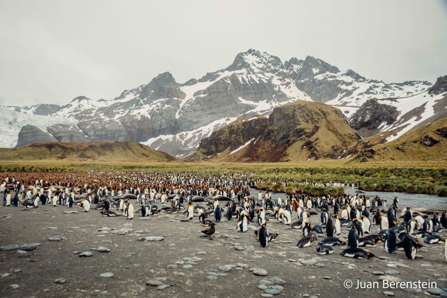 Gold Harbour and Cooper Bay, South Georgia