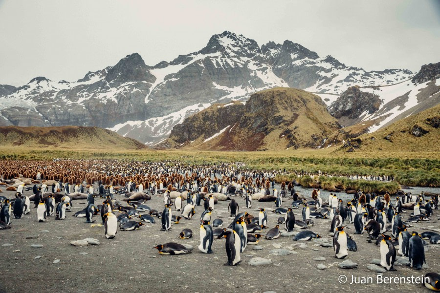 HDS21-22, Day 9, _Q9A8328 © Juan Berenstein - Oceanwide Expeditions.jpg