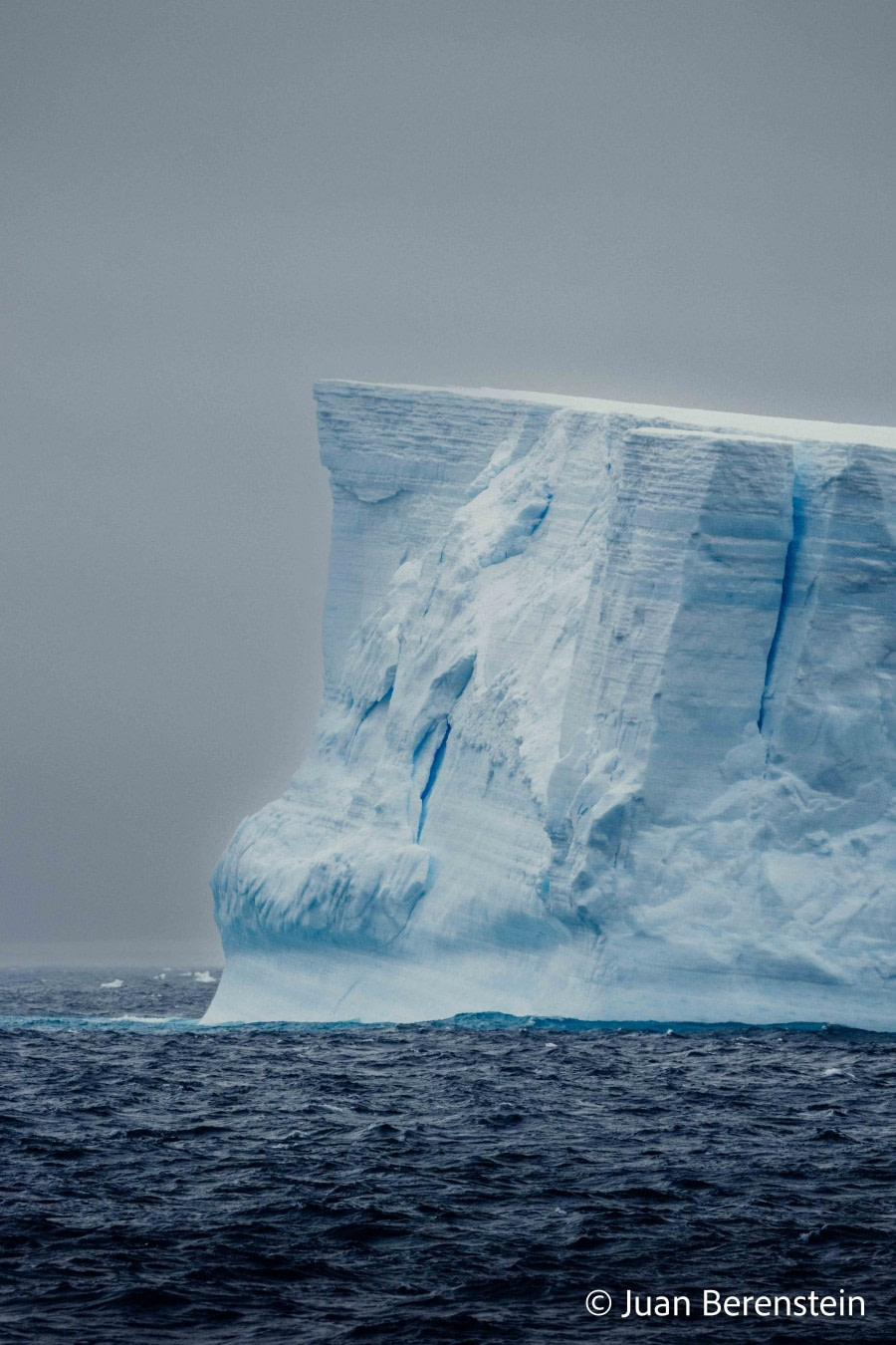 HDS21-22, Day 13, 2B5A2498 © Juan Berenstein - Oceanwide Expeditions.jpg