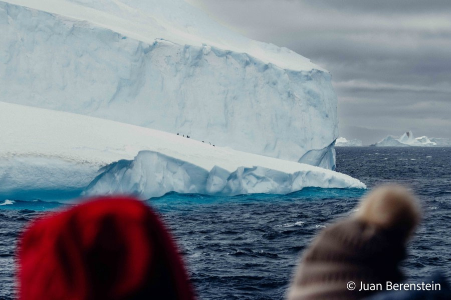 HDS21-22, Day 13, 2B5A2607 © Juan Berenstein - Oceanwide Expeditions.jpg