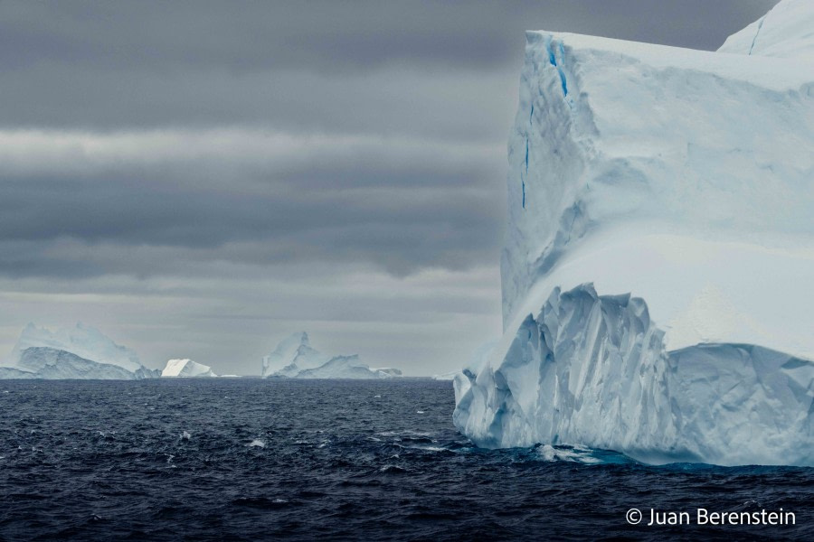 HDS21-22, Day 13, 2B5A2610 © Juan Berenstein - Oceanwide Expeditions.jpg