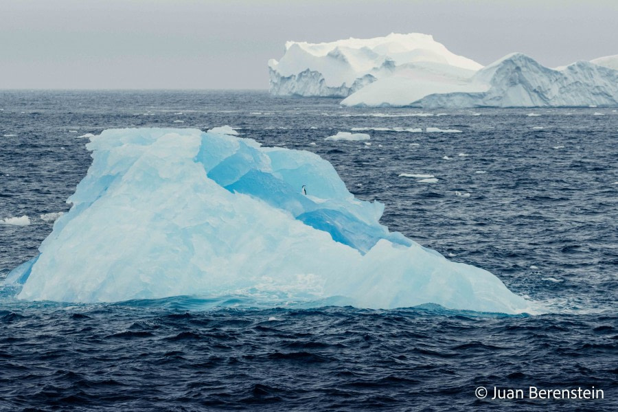 HDS21-22, Day 13, 2B5A2776 © Juan Berenstein - Oceanwide Expeditions.jpg