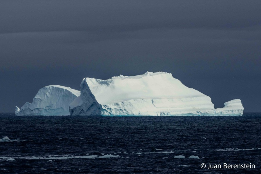 HDS21-22, Day 13, 2B5A2820 © Juan Berenstein - Oceanwide Expeditions.jpg