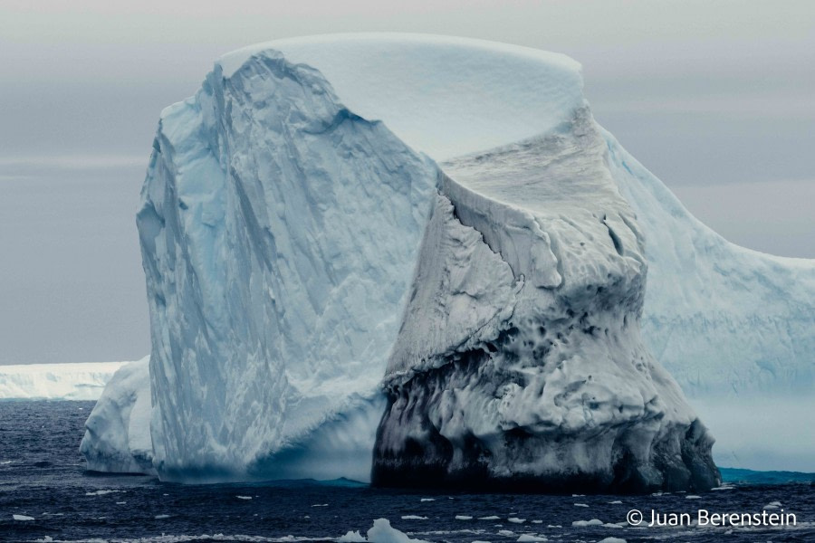 HDS21-22, Day 13, 2B5A2822 © Juan Berenstein - Oceanwide Expeditions.jpg