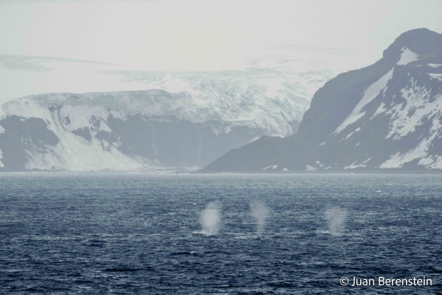 HDS21-22, Day 15, 2B5A2930 © Juan Berenstein - Oceanwide Expeditions.jpg