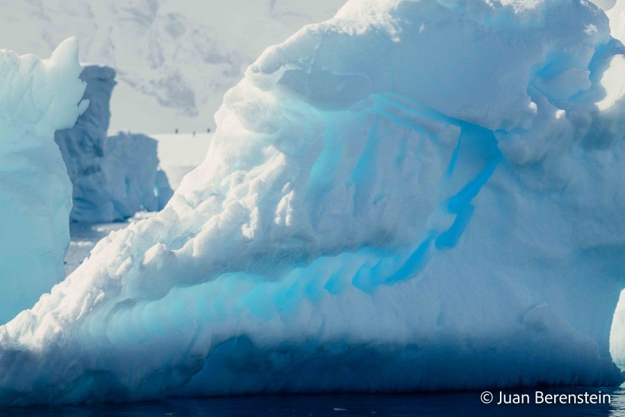 HDS21-22, Day 16, 2B5A3524 © Juan Berenstein - Oceanwide Expeditions.jpg