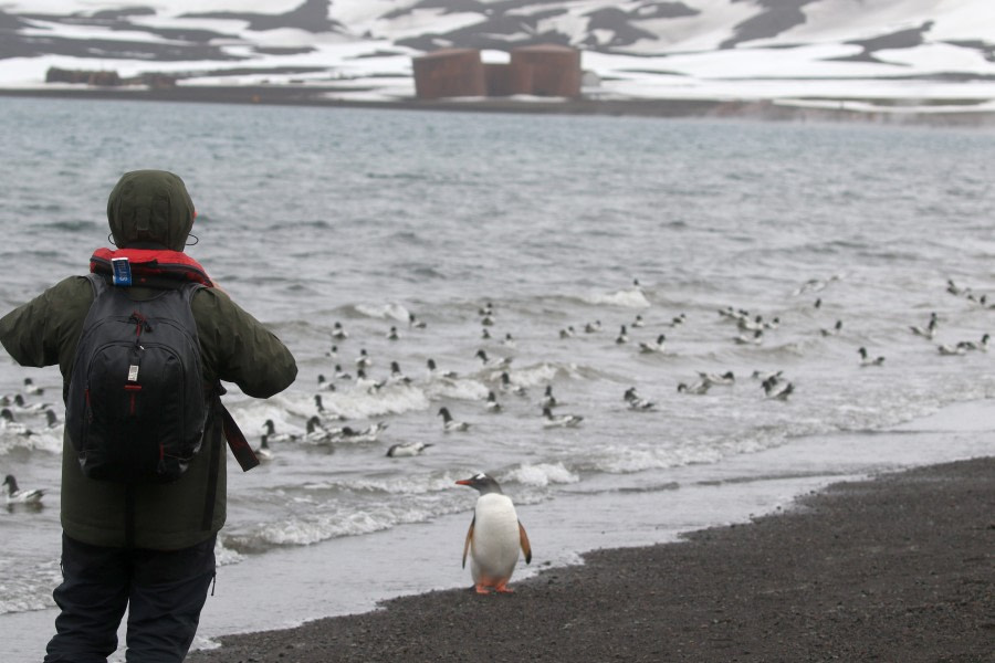 OTL22-22, Day 8, DeceptionIsland_WhalersBay (12) © Regis Perdriat - Oceanwide Expeditions.jpg