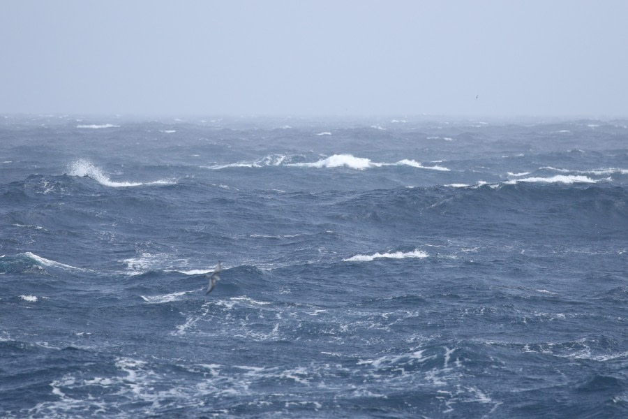 crossing the Drake Passage