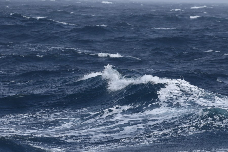 At Sea – Drake Passage
