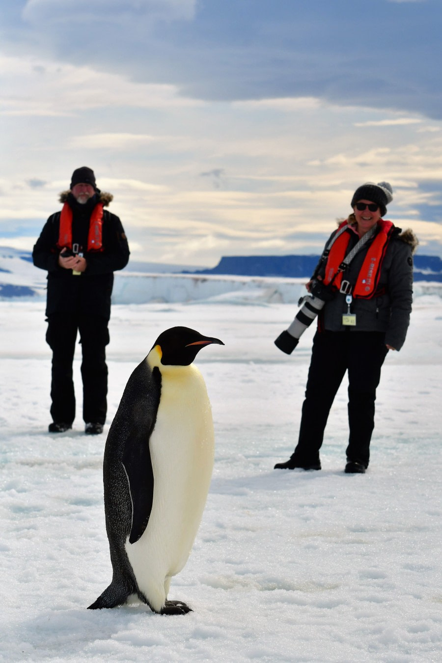 OTL22-22, Day 5, Emperor and guests © Hazel Pittwood - Oceanwide Expeditions.jpg