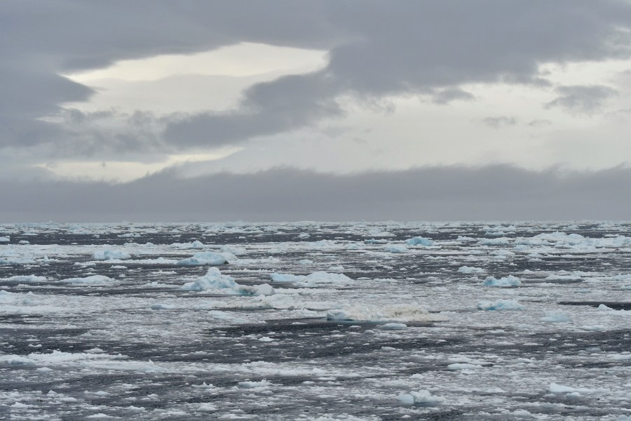 OTL22-22, Day 6, Ice © Hazel Pittwood - Oceanwide Expeditions.jpg