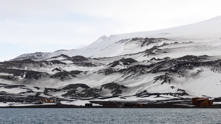 OTL23-22, Day 8 Whalers Bay © Sara Jenner - Oceanwide Expeditions.jpg