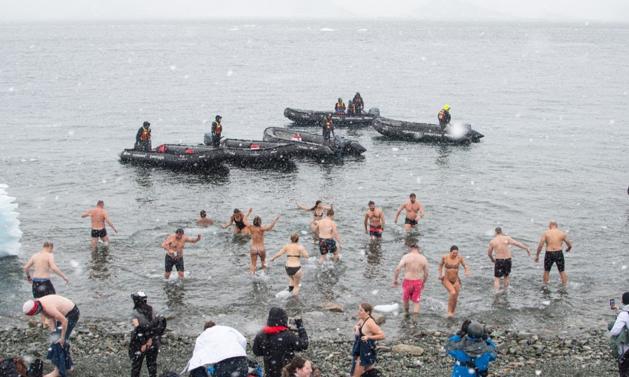 HDS22-22, Day 7, Polar plunge © Unknown Photographer - Oceanwide Expeditions.jpg