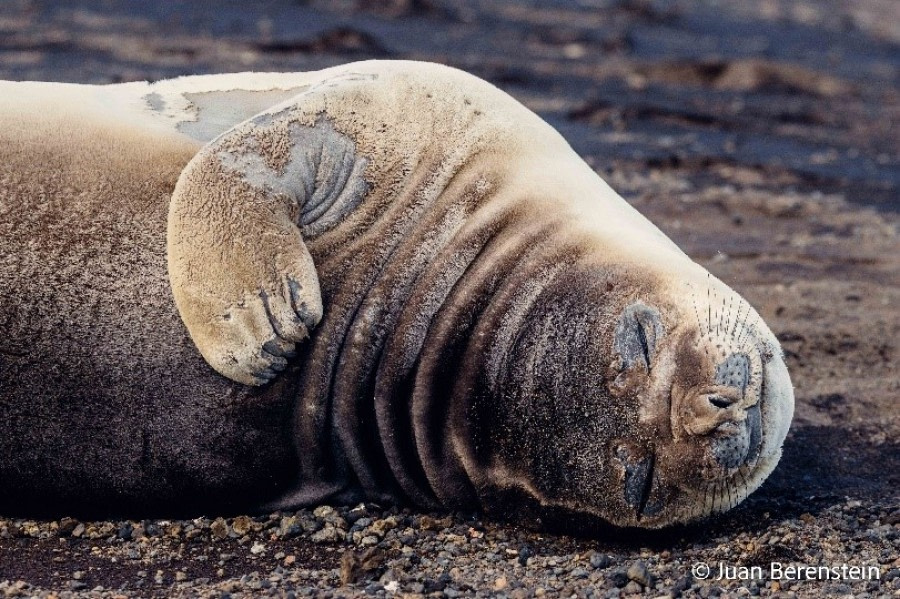 Deception Island