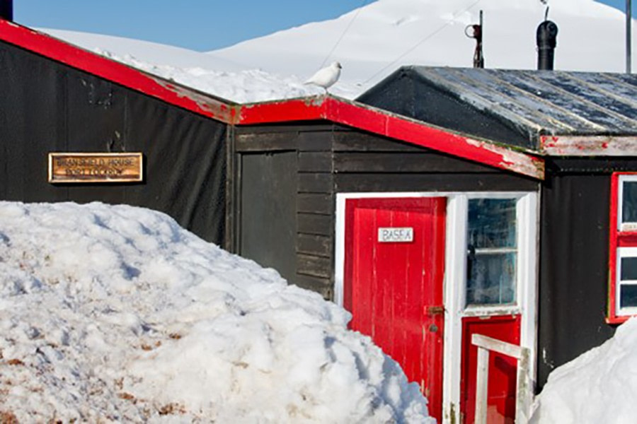 Port Lockroy (Goudier Island) & Jougla