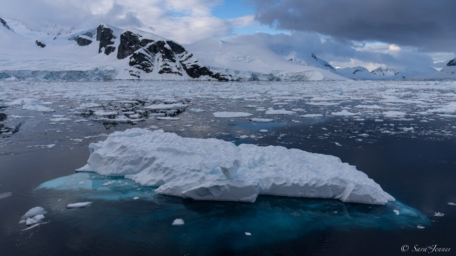 OTL24-22, Day 5 Paradise Harbour morning 2 © Sara Jenner - Oceanwide Expeditions.jpg