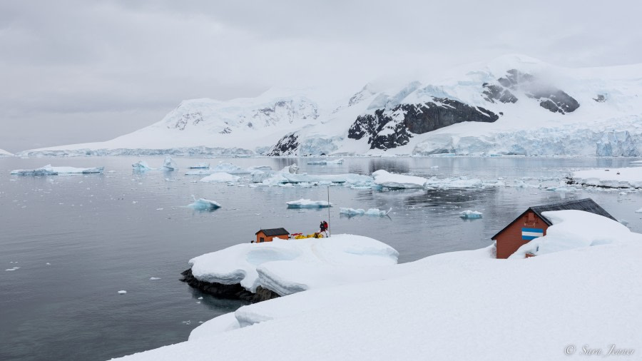 Brown Station and Zodiac Cruise near Neko Point