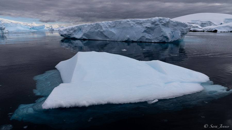 OTL24-22, Day 9 Foyn Harbour 3 © Sara Jenner - Oceanwide Expeditions.jpg