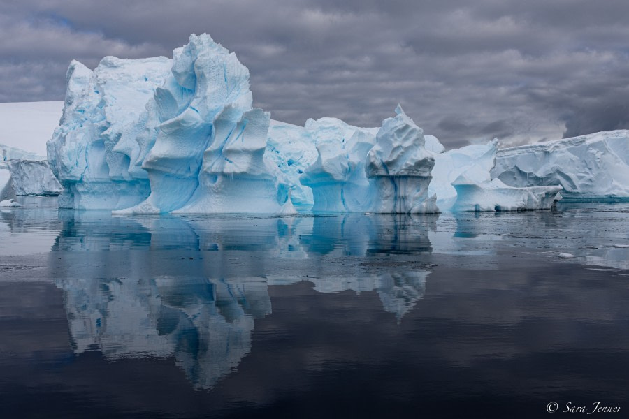 OTL24-22, Day 9 Foyn Harbour 5 © Sara Jenner - Oceanwide Expeditions.jpg